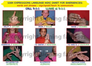 sign-expressions-mini-emergency-chart1