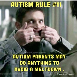 redirection for autism meltdown